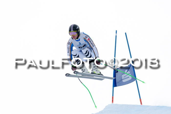 Int. FIS Rennen + NJC Herren, SG, Götschen, 26.02.2018