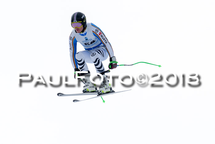 Int. FIS Rennen + NJC Herren, SG, Götschen, 26.02.2018