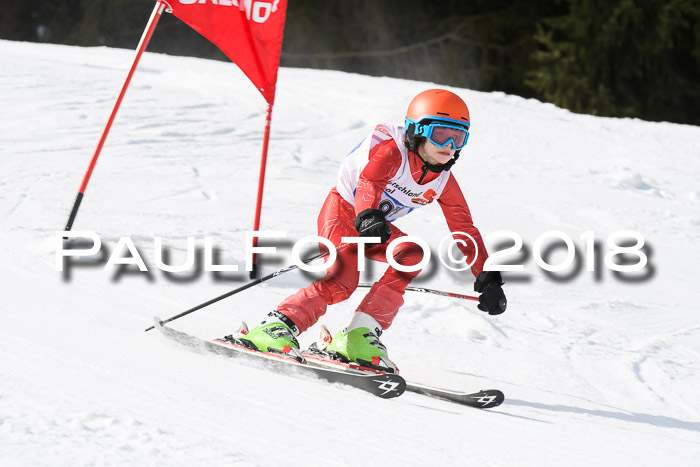 Kreismeisterschaft und Kreisschülertag 2018