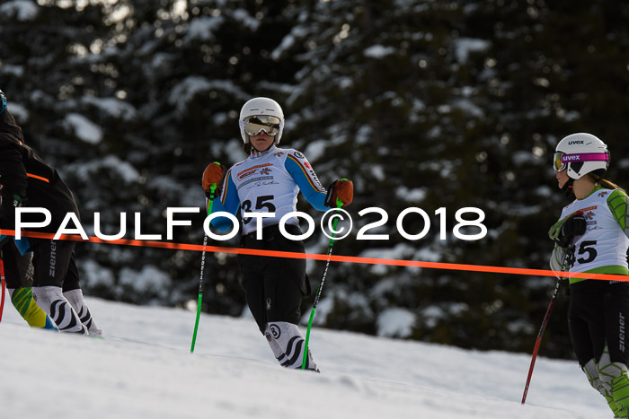 Dt. Schülercup U14 Finale, Riesenslalom, 03.03.2018