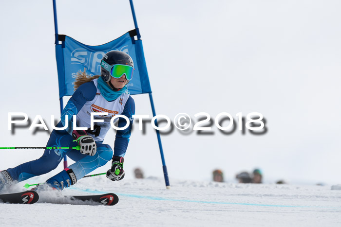 Dt. Schülercup U14 Finale, Riesenslalom, 03.03.2018