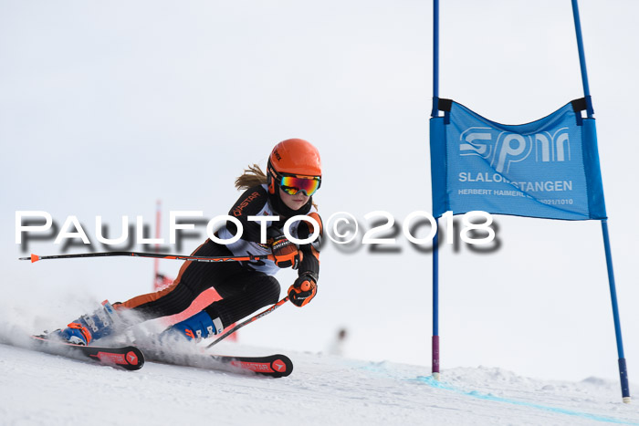 Dt. Schülercup U14 Finale, Riesenslalom, 03.03.2018