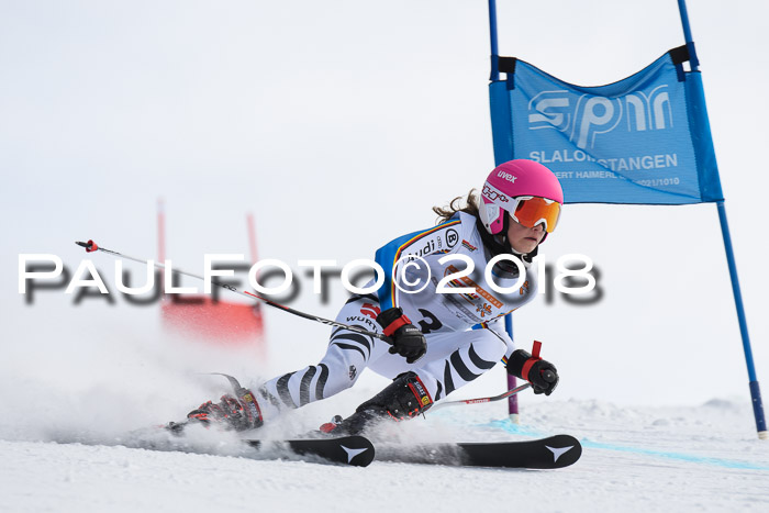 Dt. Schülercup U14 Finale, Riesenslalom, 03.03.2018