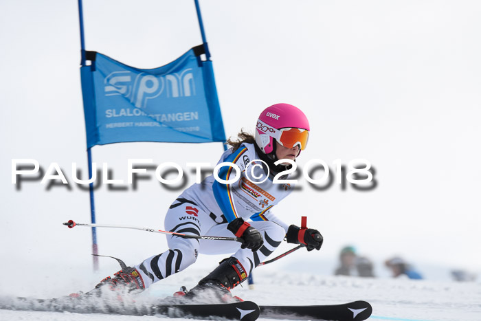 Dt. Schülercup U14 Finale, Riesenslalom, 03.03.2018