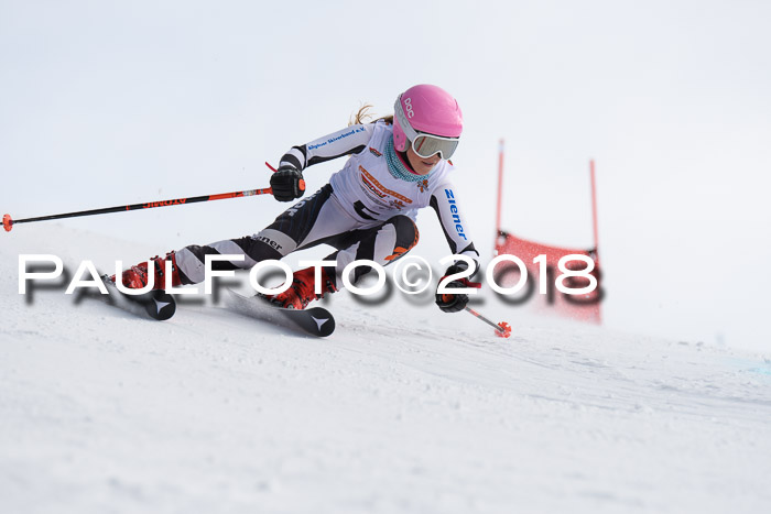 Dt. Schülercup U14 Finale, Riesenslalom, 03.03.2018