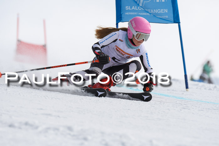 Dt. Schülercup U14 Finale, Riesenslalom, 03.03.2018