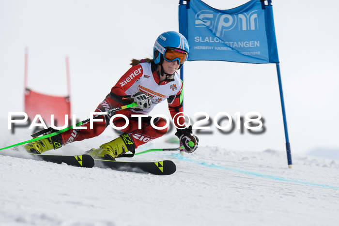 Dt. Schülercup U14 Finale, Riesenslalom, 03.03.2018