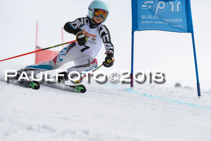 Dt. Schülercup U14 Finale, Riesenslalom, 03.03.2018