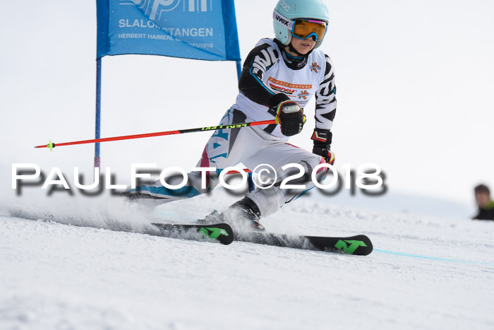 Dt. Schülercup U14 Finale, Riesenslalom, 03.03.2018