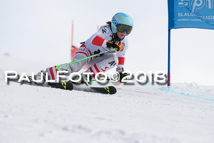 Dt. Schülercup U14 Finale, Riesenslalom, 03.03.2018