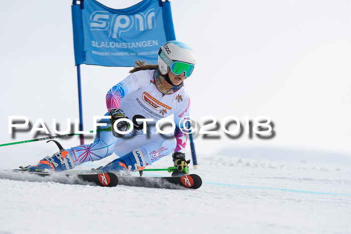 Dt. Schülercup U14 Finale, Riesenslalom, 03.03.2018