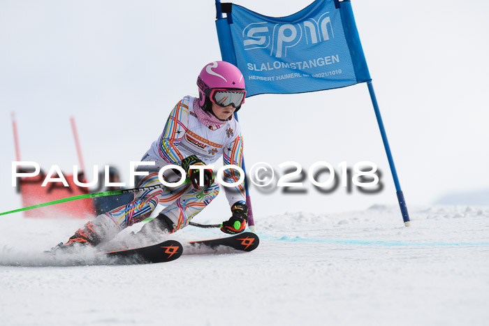 Dt. Schülercup U14 Finale, Riesenslalom, 03.03.2018