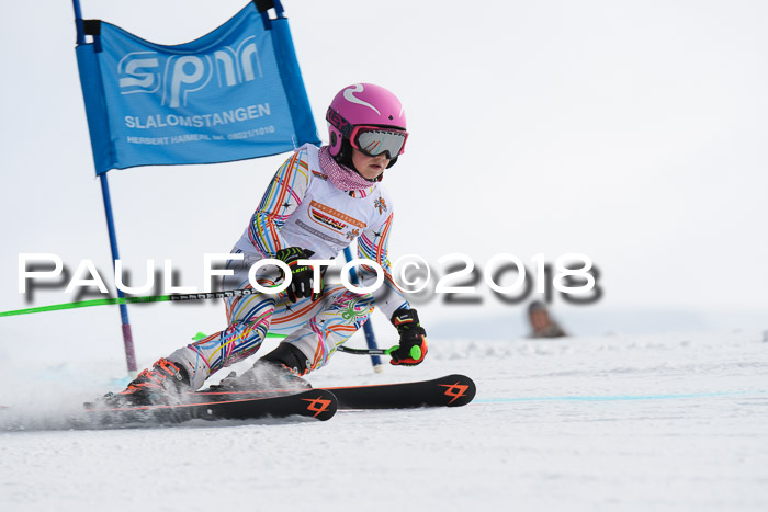 Dt. Schülercup U14 Finale, Riesenslalom, 03.03.2018