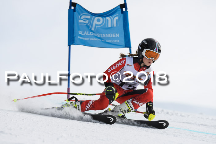 Dt. Schülercup U14 Finale, Riesenslalom, 03.03.2018