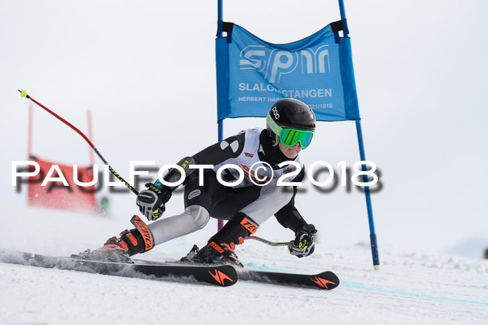 Dt. Schülercup U14 Finale, Riesenslalom, 03.03.2018