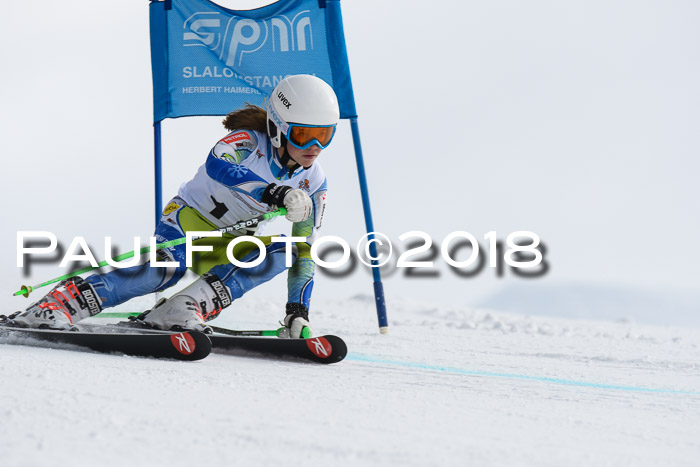 Dt. Schülercup U14 Finale, Riesenslalom, 03.03.2018