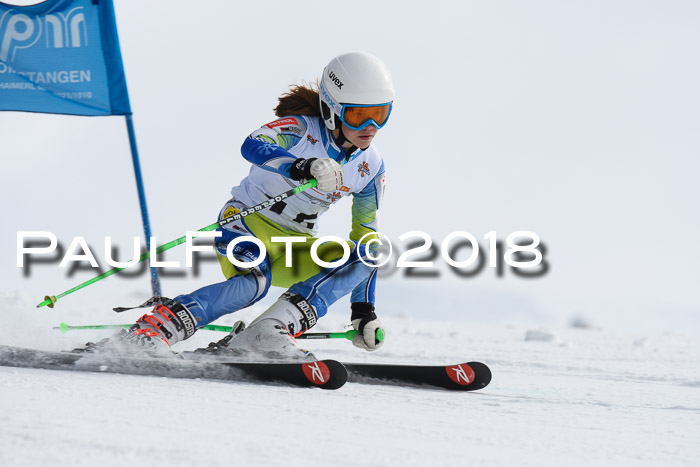 Dt. Schülercup U14 Finale, Riesenslalom, 03.03.2018