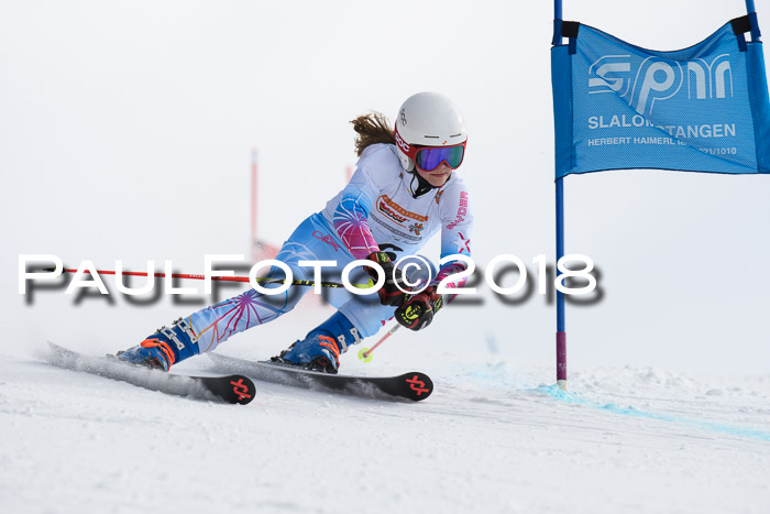 Dt. Schülercup U14 Finale, Riesenslalom, 03.03.2018