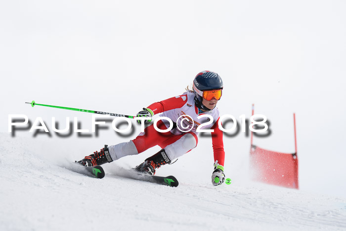 Dt. Schülercup U14 Finale, Riesenslalom, 03.03.2018