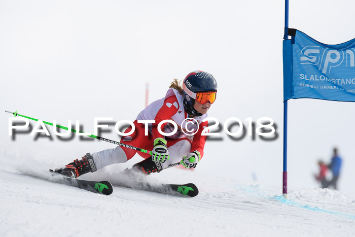 Dt. Schülercup U14 Finale, Riesenslalom, 03.03.2018