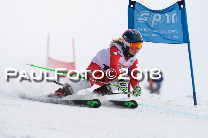 Dt. Schülercup U14 Finale, Riesenslalom, 03.03.2018