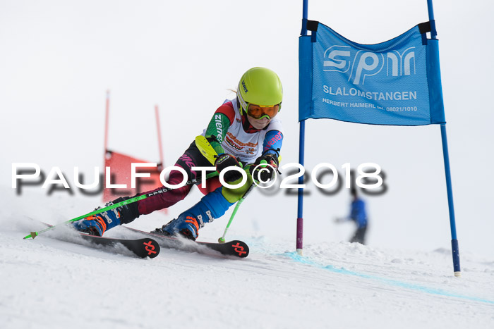 Dt. Schülercup U14 Finale, Riesenslalom, 03.03.2018