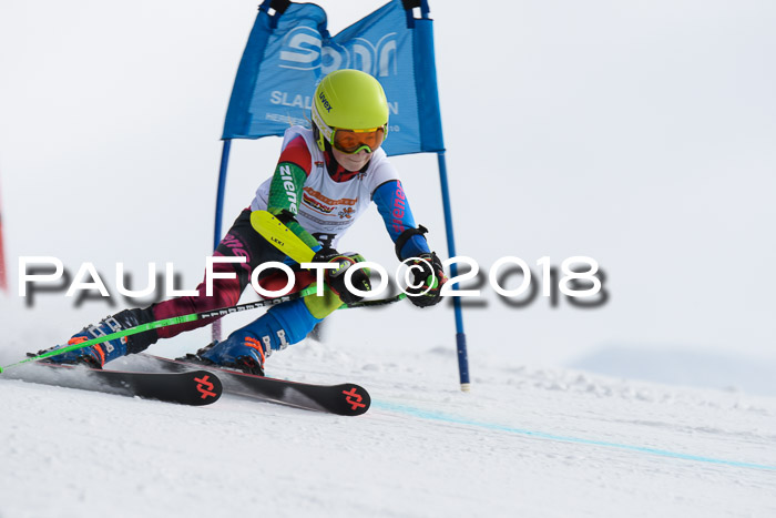 Dt. Schülercup U14 Finale, Riesenslalom, 03.03.2018