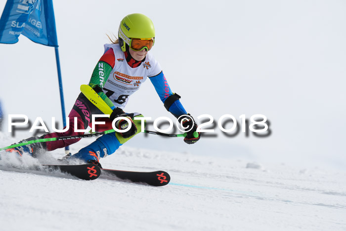 Dt. Schülercup U14 Finale, Riesenslalom, 03.03.2018