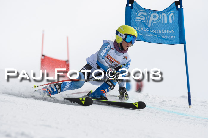 Dt. Schülercup U14 Finale, Riesenslalom, 03.03.2018