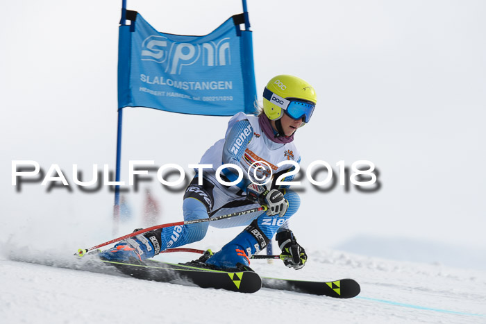 Dt. Schülercup U14 Finale, Riesenslalom, 03.03.2018