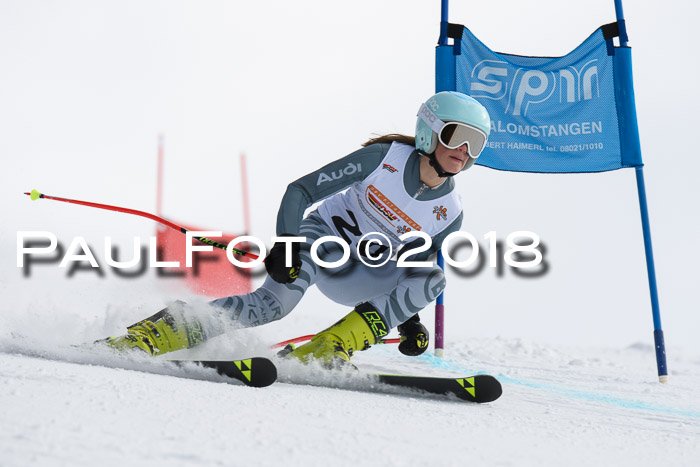 Dt. Schülercup U14 Finale, Riesenslalom, 03.03.2018