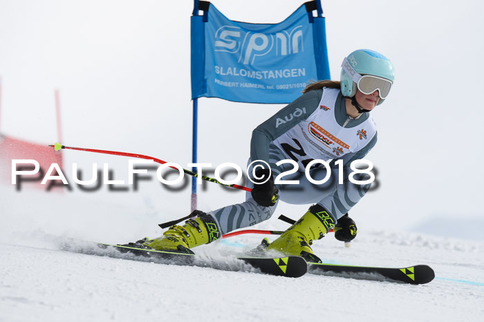 Dt. Schülercup U14 Finale, Riesenslalom, 03.03.2018