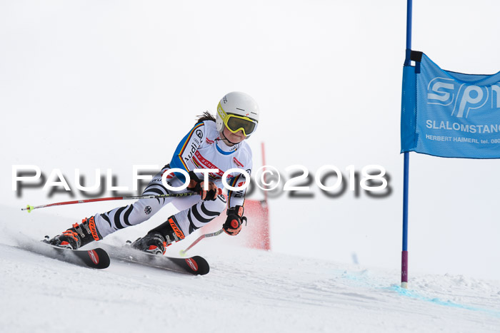 Dt. Schülercup U14 Finale, Riesenslalom, 03.03.2018