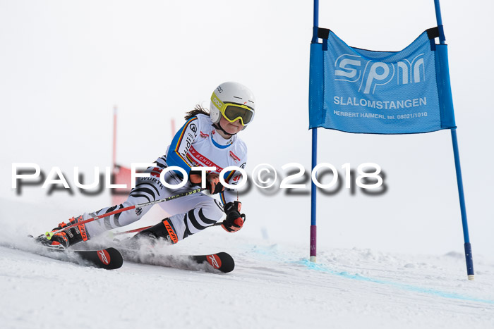 Dt. Schülercup U14 Finale, Riesenslalom, 03.03.2018