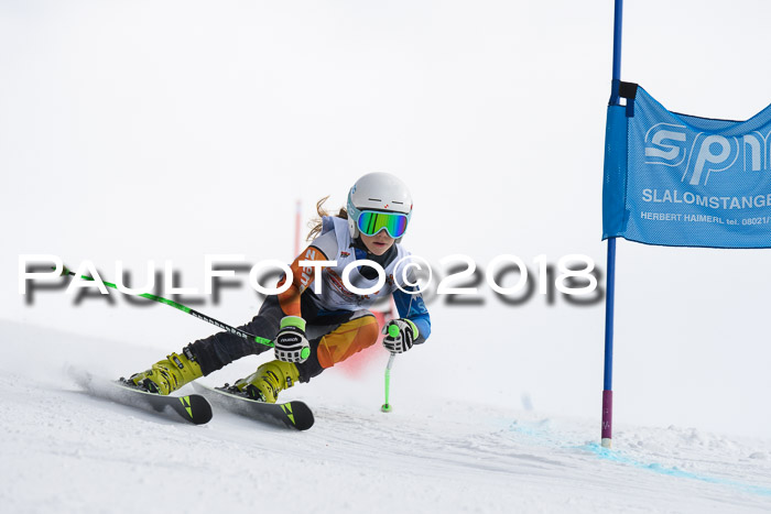 Dt. Schülercup U14 Finale, Riesenslalom, 03.03.2018