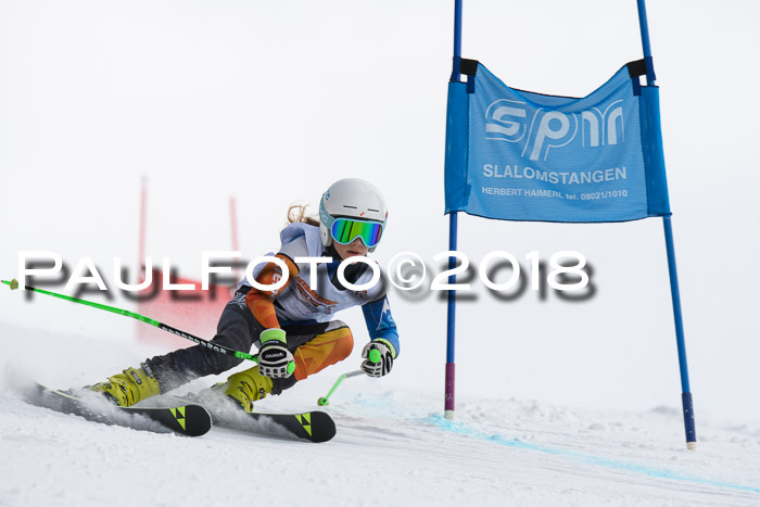 Dt. Schülercup U14 Finale, Riesenslalom, 03.03.2018