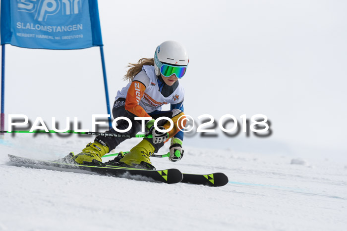 Dt. Schülercup U14 Finale, Riesenslalom, 03.03.2018