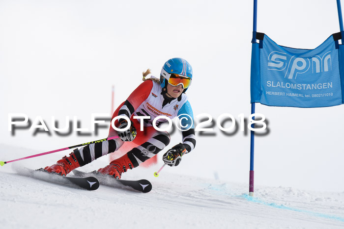 Dt. Schülercup U14 Finale, Riesenslalom, 03.03.2018