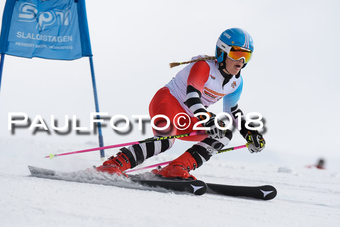 Dt. Schülercup U14 Finale, Riesenslalom, 03.03.2018