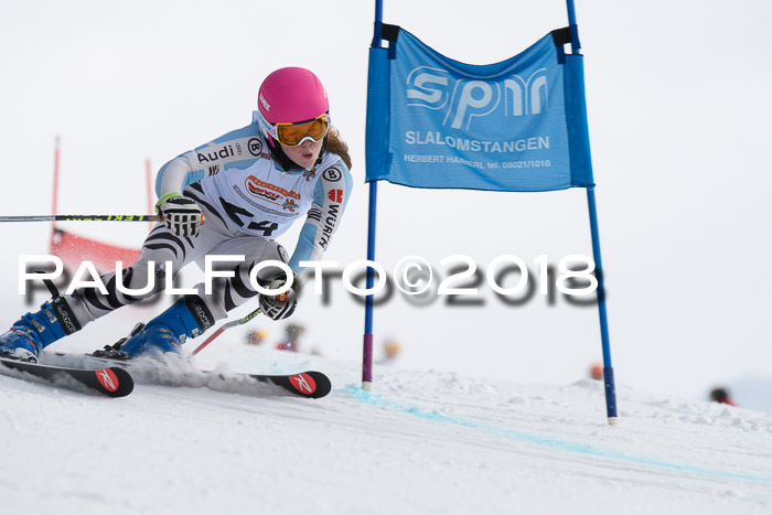 Dt. Schülercup U14 Finale, Riesenslalom, 03.03.2018