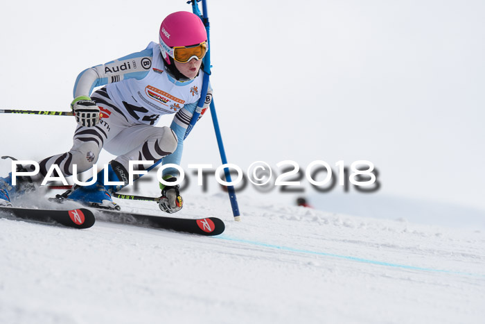 Dt. Schülercup U14 Finale, Riesenslalom, 03.03.2018