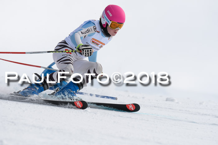 Dt. Schülercup U14 Finale, Riesenslalom, 03.03.2018