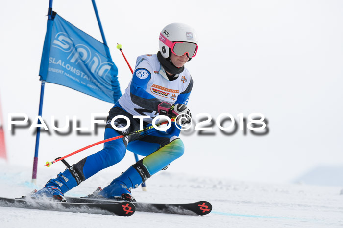 Dt. Schülercup U14 Finale, Riesenslalom, 03.03.2018