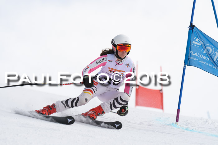 Dt. Schülercup U14 Finale, Riesenslalom, 03.03.2018