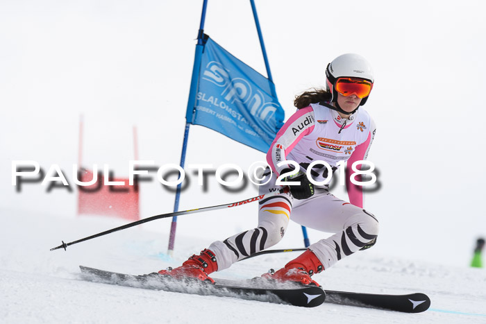 Dt. Schülercup U14 Finale, Riesenslalom, 03.03.2018