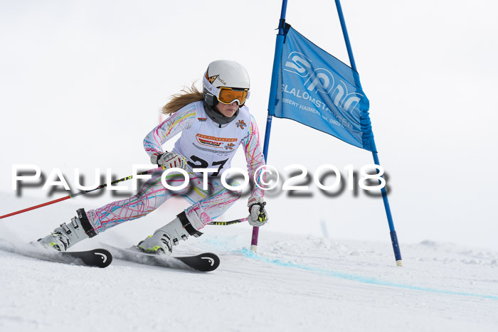 Dt. Schülercup U14 Finale, Riesenslalom, 03.03.2018