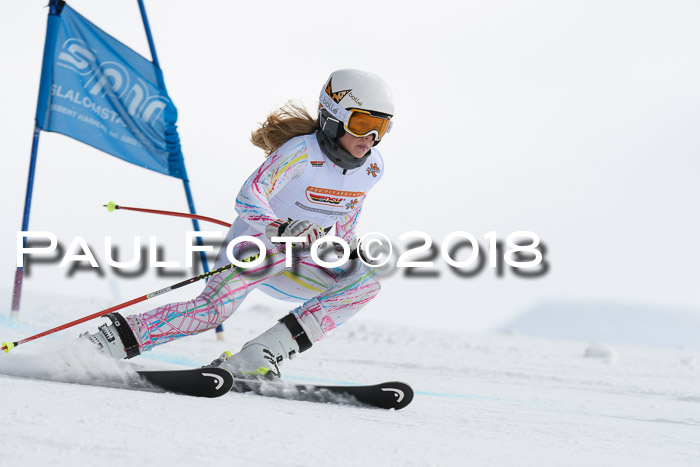 Dt. Schülercup U14 Finale, Riesenslalom, 03.03.2018