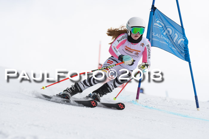 Dt. Schülercup U14 Finale, Riesenslalom, 03.03.2018