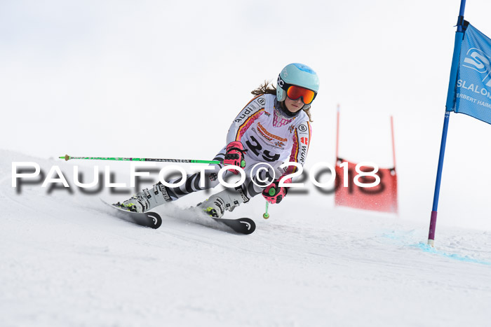 Dt. Schülercup U14 Finale, Riesenslalom, 03.03.2018