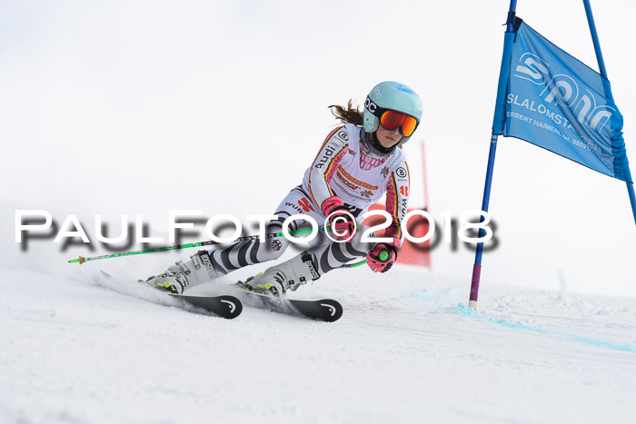 Dt. Schülercup U14 Finale, Riesenslalom, 03.03.2018